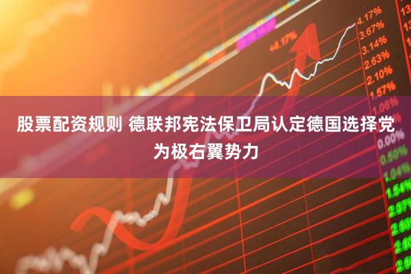 股票配资规则 德联邦宪法保卫局认定德国选择党为极右翼势力