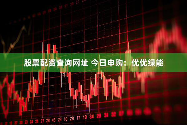 股票配资查询网址 今日申购：优优绿能