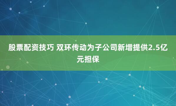 股票配资技巧 双环传动为子公司新增提供2.5亿元担保
