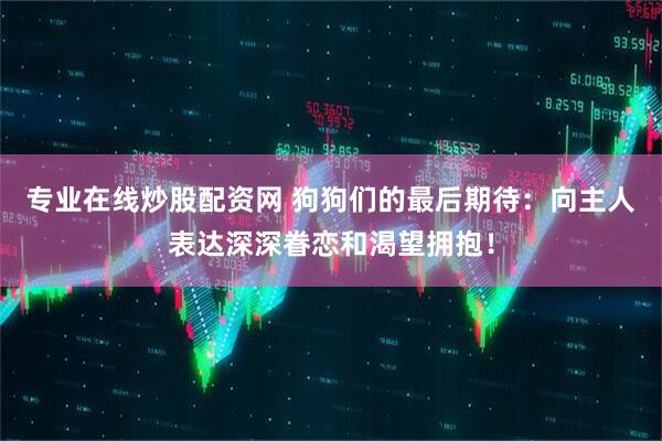 专业在线炒股配资网 狗狗们的最后期待：向主人表达深深眷恋和渴望拥抱！